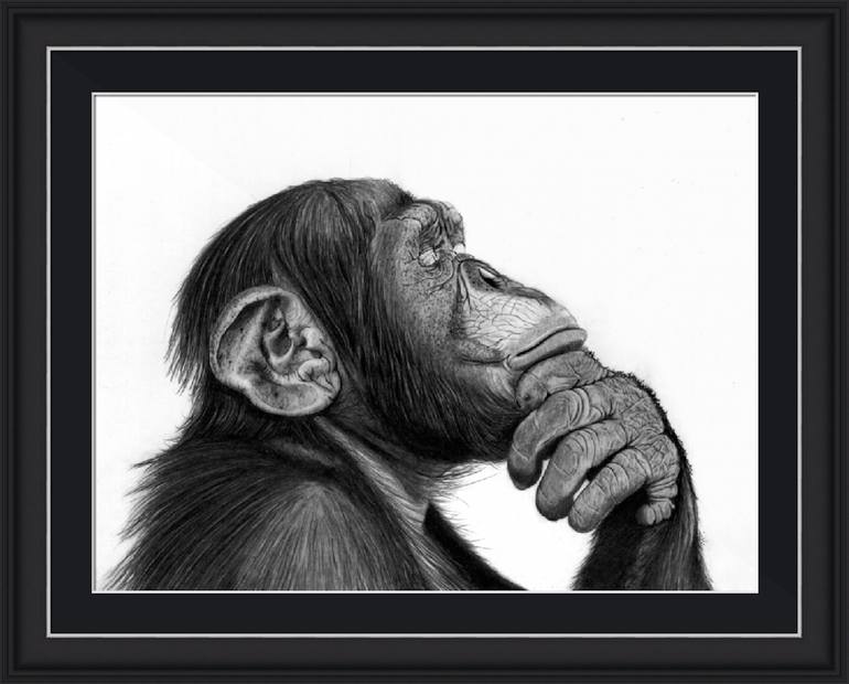 Original Figurative Animal Drawing by Paul Stowe