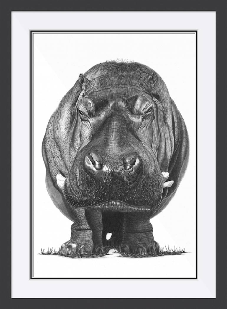 Original Figurative Animal Drawing by Paul Stowe