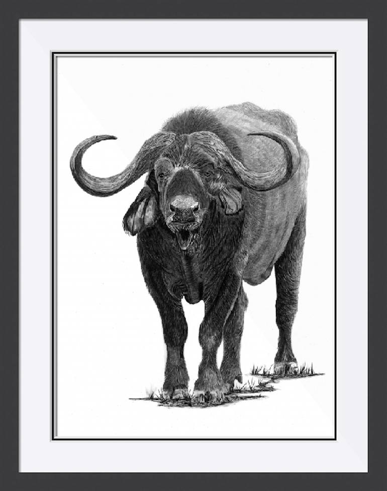Original Animal Drawing by Paul Stowe