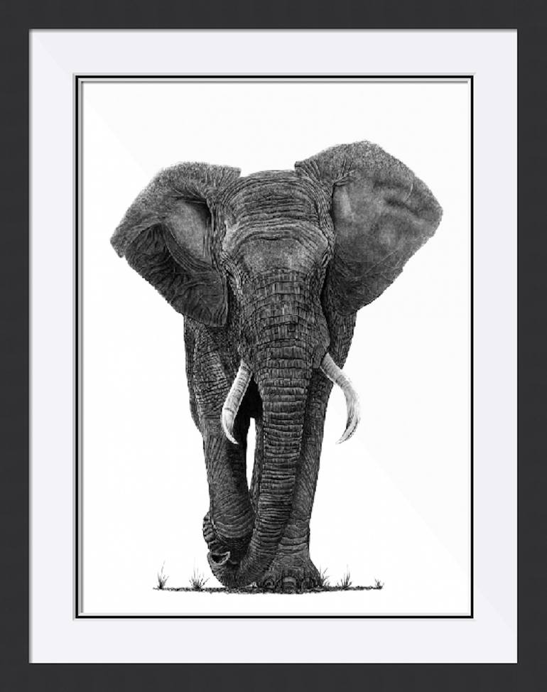 Original Figurative Animal Drawing by Paul Stowe