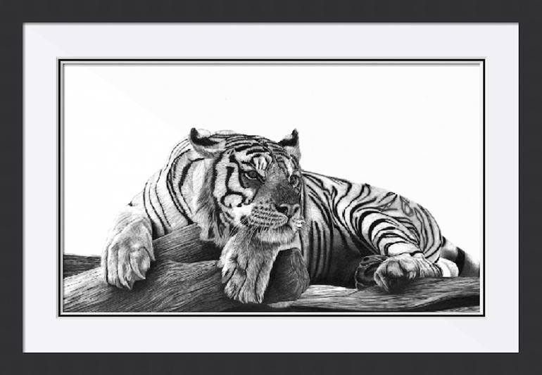 Original Figurative Animal Drawing by Paul Stowe