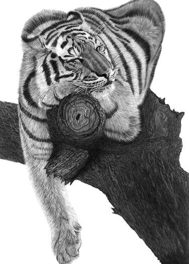 Print of Figurative Animal Drawings by Paul Stowe