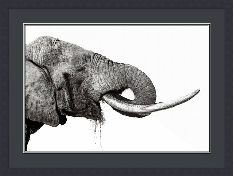 Original Figurative Animal Drawing by Paul Stowe