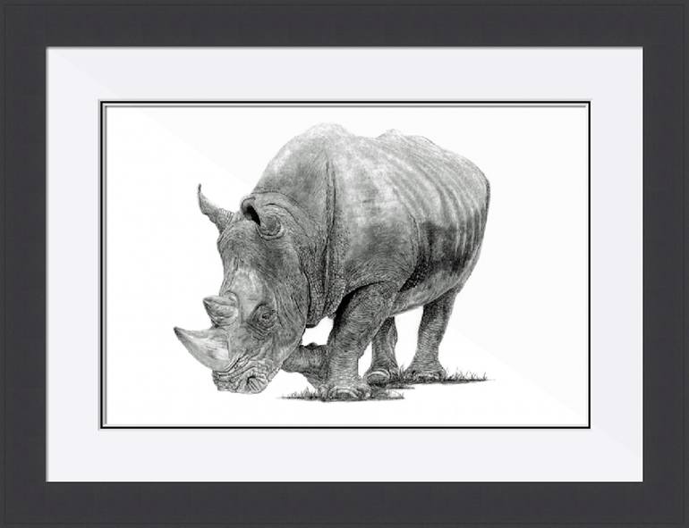 Original Photorealism Animal Drawing by Paul Stowe