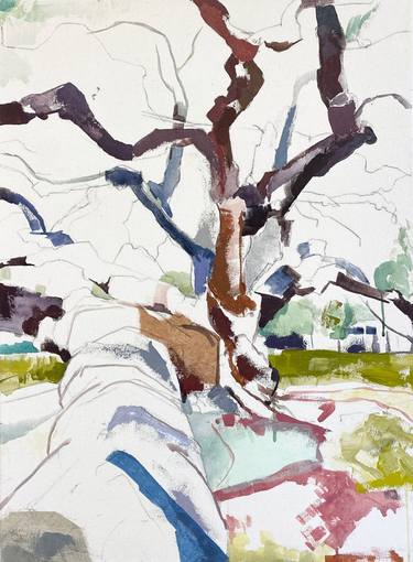 Original Tree Paintings by Jill Lear