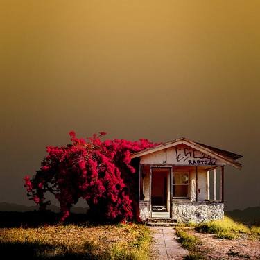 Abandoned House, Niland CA – Edition of 9 image