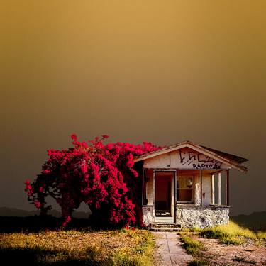 Original Conceptual Architecture Photography by Ed Freeman