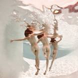 Collection Marc Hendrick