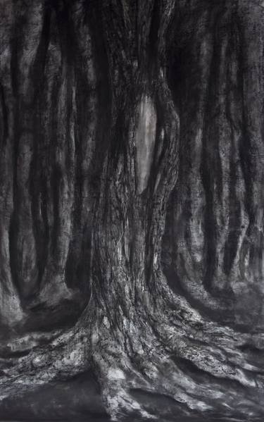 Original Tree Drawings by Lucilla Candeloro