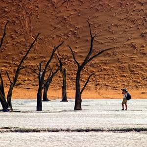 Collection Dead Vlei 