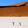 Collection Dead Vlei 