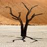 Collection Dead Vlei 