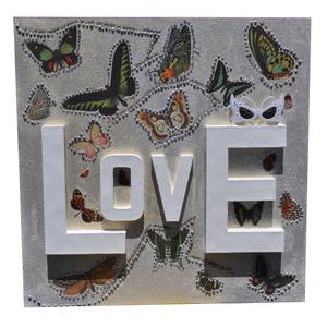 Love and Butterflys