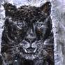 Detail BLACK JAGUAR painting series The Unforgettable, Oswin Gesselli