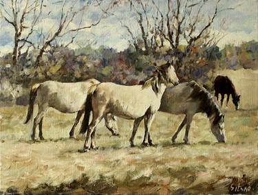 Print of Fine Art Horse Paintings by Andrei Sitsko