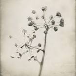 Collection Spooked: Eerie New Artworks for Halloween