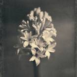 Collection Gifts for Any Occasion