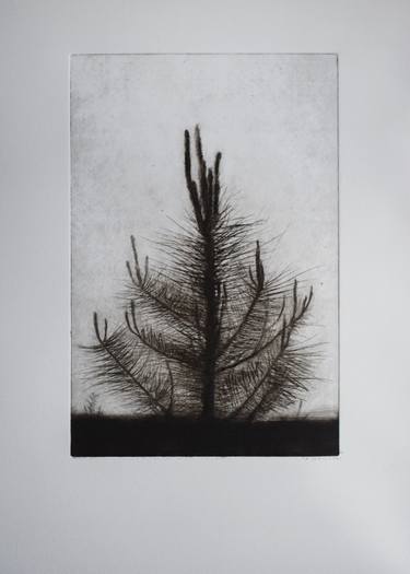 Original Realism Nature Printmaking by Helen Tóth