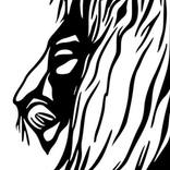 The lion by Myrhael Angel