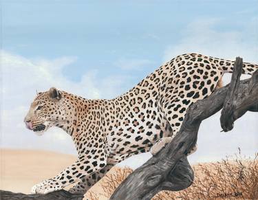 Print of Realism Animal Paintings by Dalene Schafer