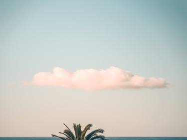 Horizon Cloud Palm Tree thumb