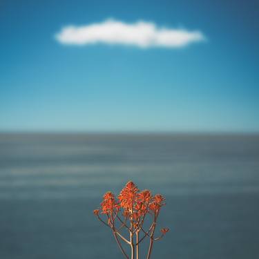 Original Minimalism Nature Photography by Jens Ochlich