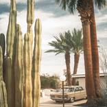 Desert Living by Jens Ochlich