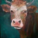 Cow Darren by Ilona van Burgel