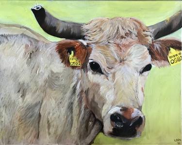 Original Realism Cows Paintings by Ilona van Burgel