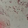closeup of artist's strokes and details at the edge