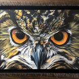 Night Vision by Steven Curtis