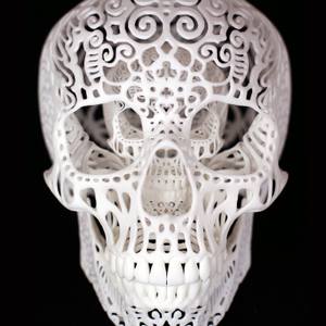 Collection curiosities