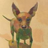 Small but wise dog by Marta Shmatava