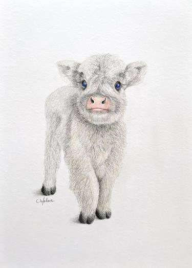 Original Figurative Cows Drawings by Catherine Wallace