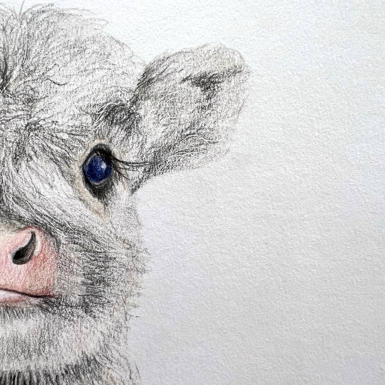 Original Contemporary Animal Drawing by Catherine Wallace
