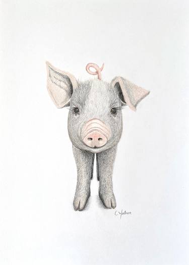 Original Animal Drawings by Catherine Wallace