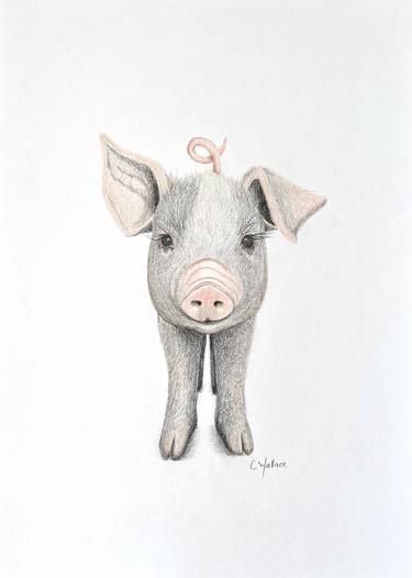 Original Figurative Animal Drawings by Catherine Wallace