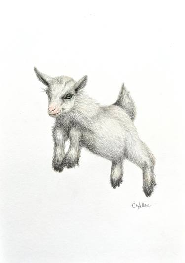 Original Figurative Animal Drawings by Catherine Wallace