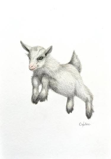 Original Contemporary Animal Drawings by Catherine Wallace