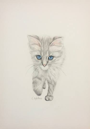 Baby Animals Drawings For Sale Saatchi Art