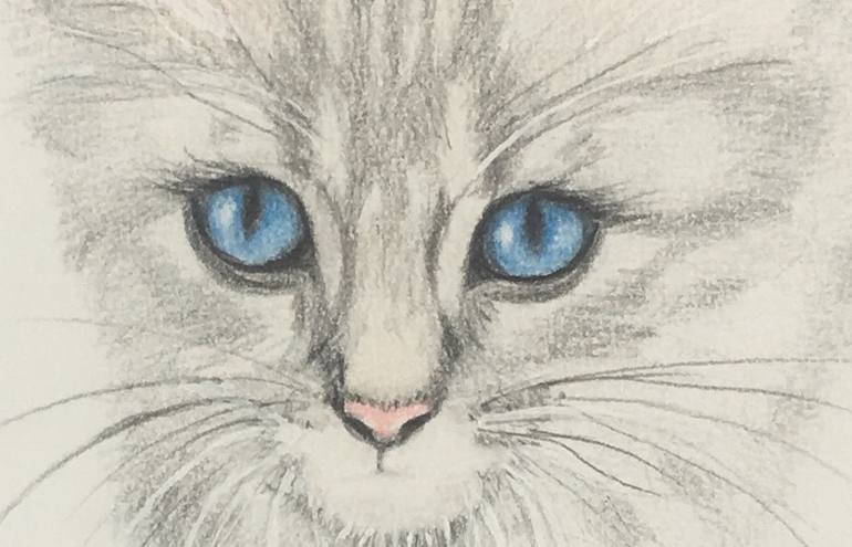 Original Illustration Animal Drawing by Catherine Wallace