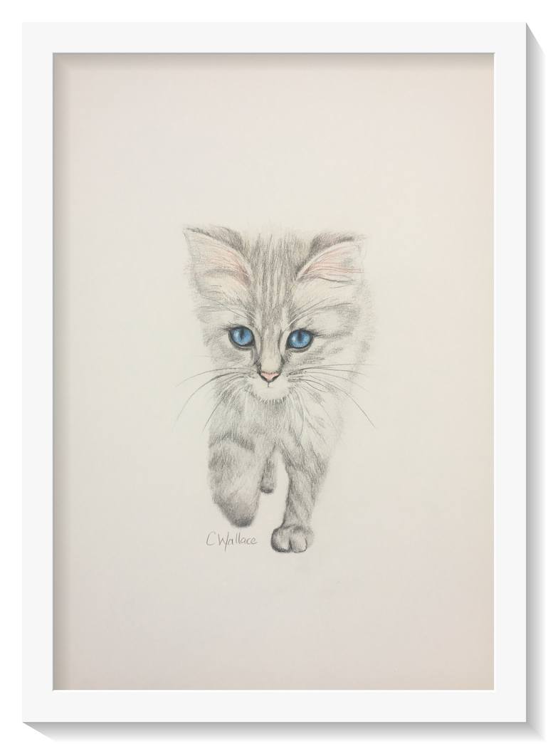 Original Illustration Animal Drawing by Catherine Wallace