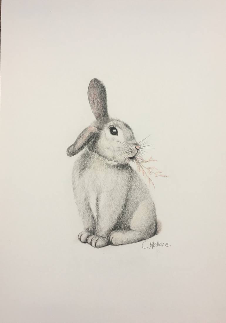 Cute Bunny Drawing by Catherine Wallace | Saatchi Art