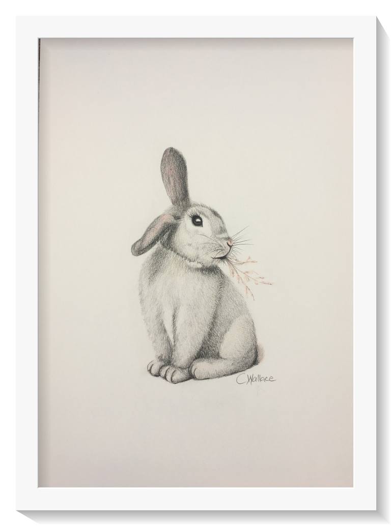 Original Animal Drawing by Catherine Wallace