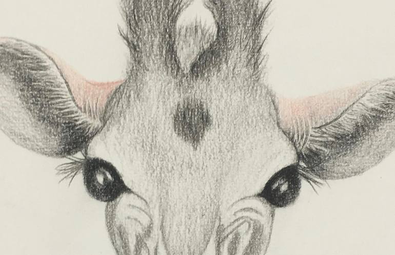 Original Animal Drawing by Catherine Wallace