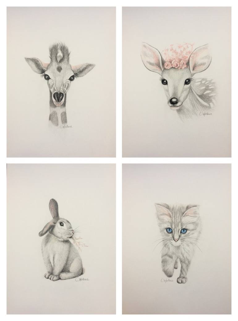 Original Animal Drawing by Catherine Wallace