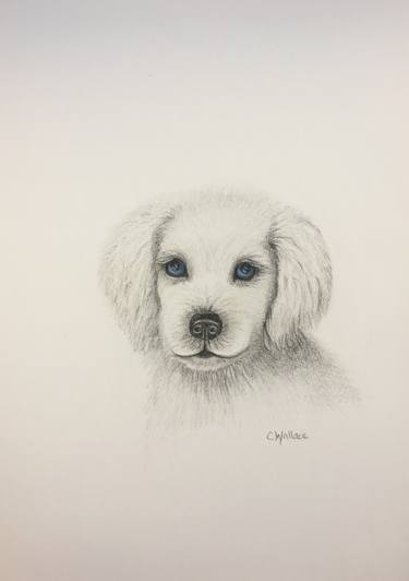 Baby Animals Drawings For Sale Saatchi Art