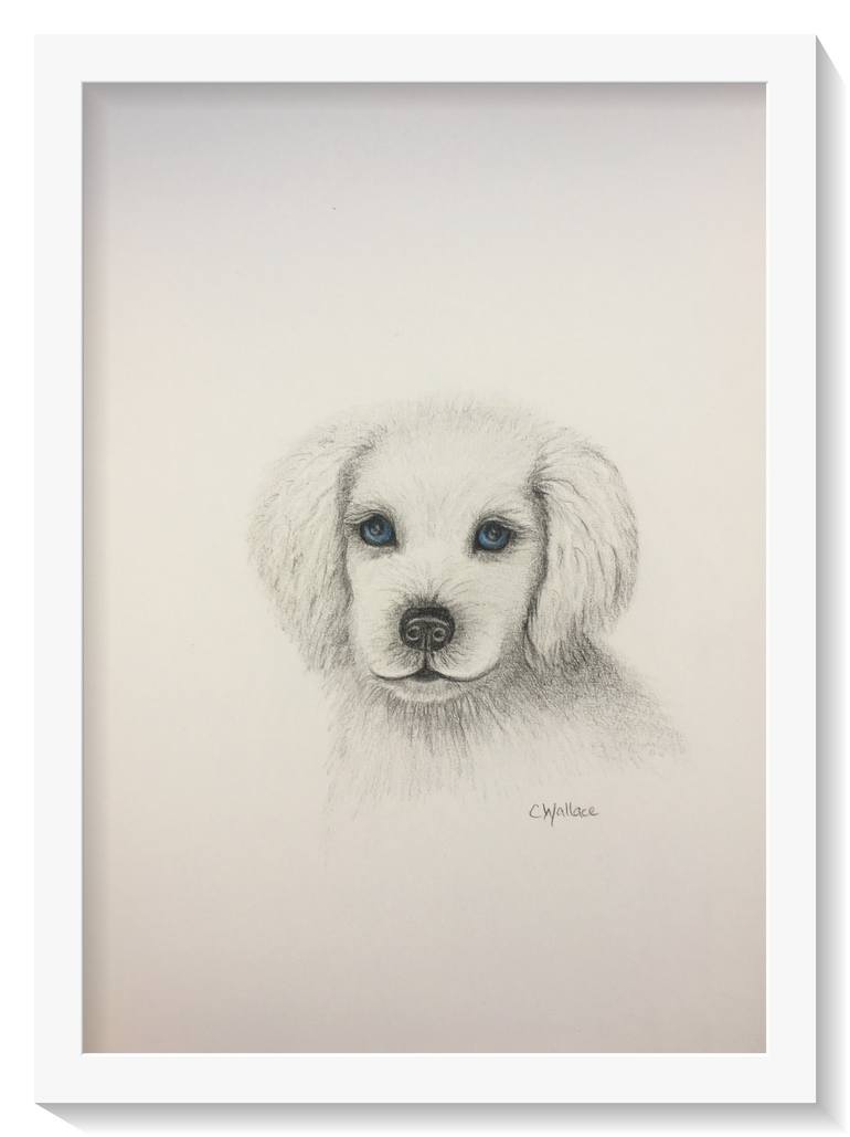 Original Figurative Animal Drawing by Catherine Wallace