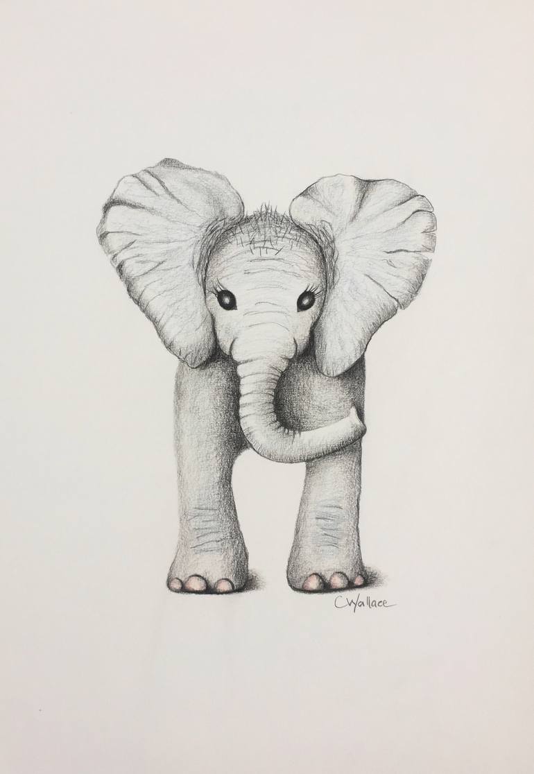 baby elephant drawing