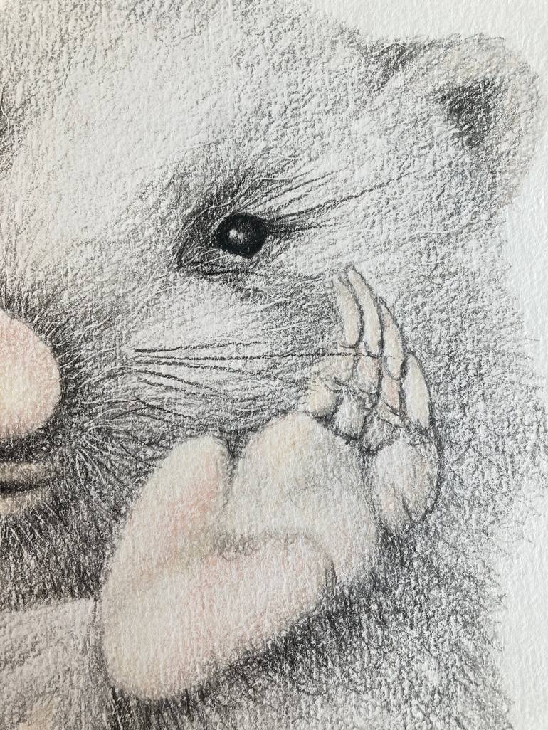 Original Illustration Animal Drawing by Catherine Wallace